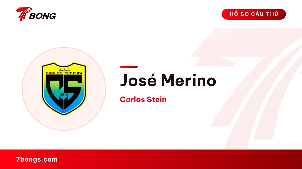 José Merino — Carlos Stein