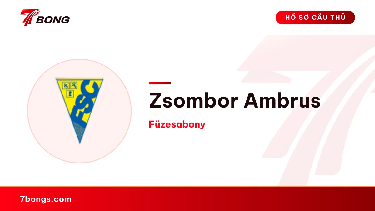 Zsombor Ambrus — Füzesabony