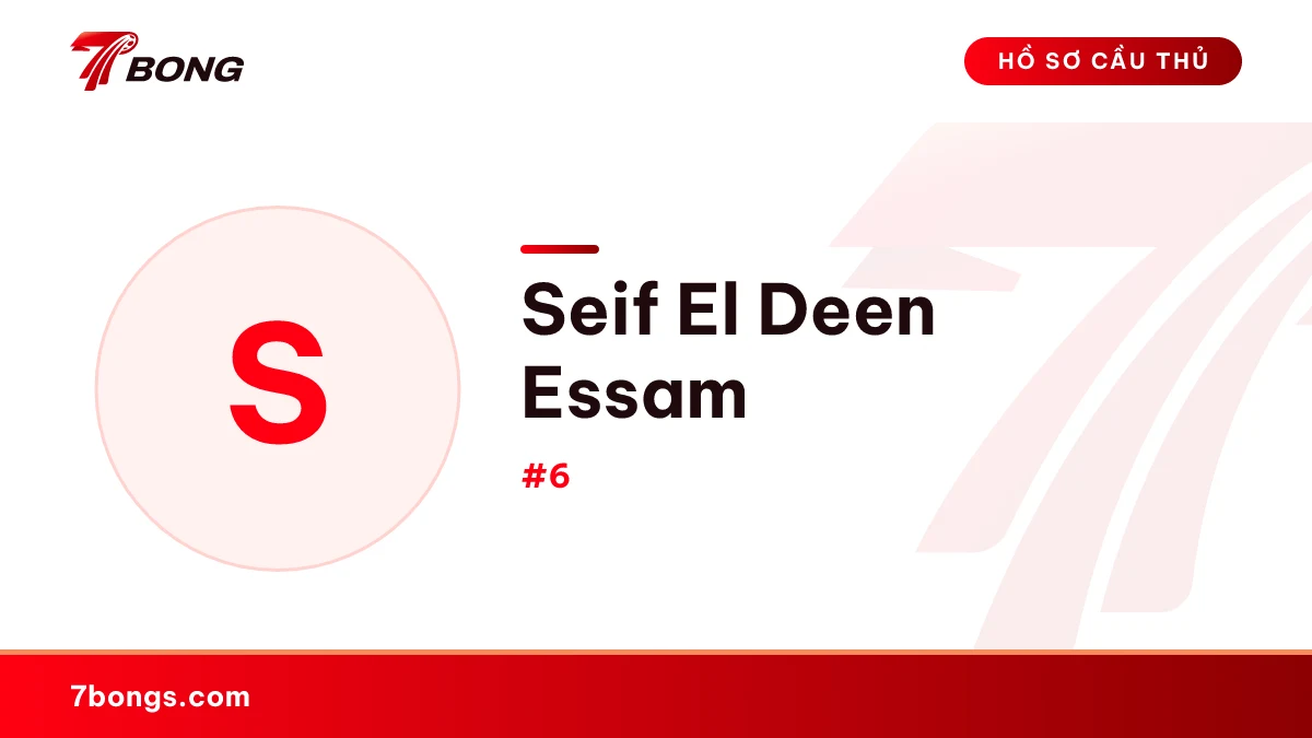 Seif El Deen Essam