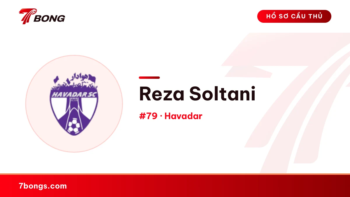 Reza Soltani — Havadar