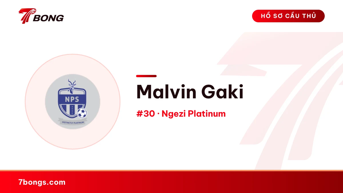 Malvin Gaki — Ngezi Platinum