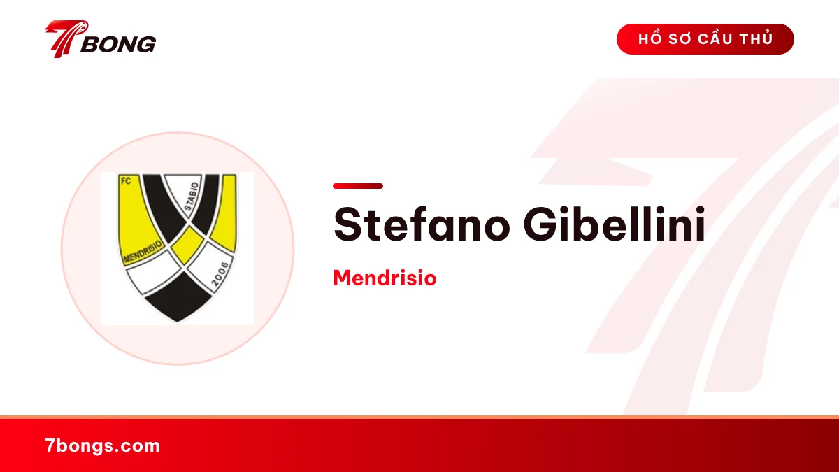 Stefano Gibellini — Mendrisio