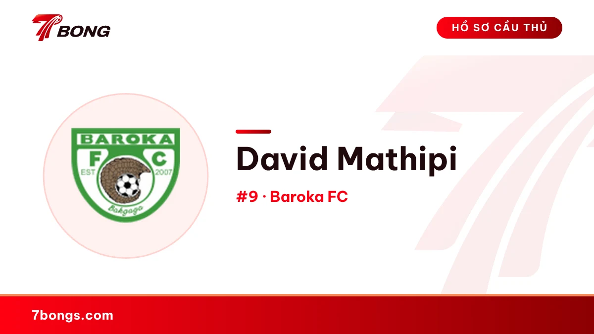 David Mathipi — Baroka FC