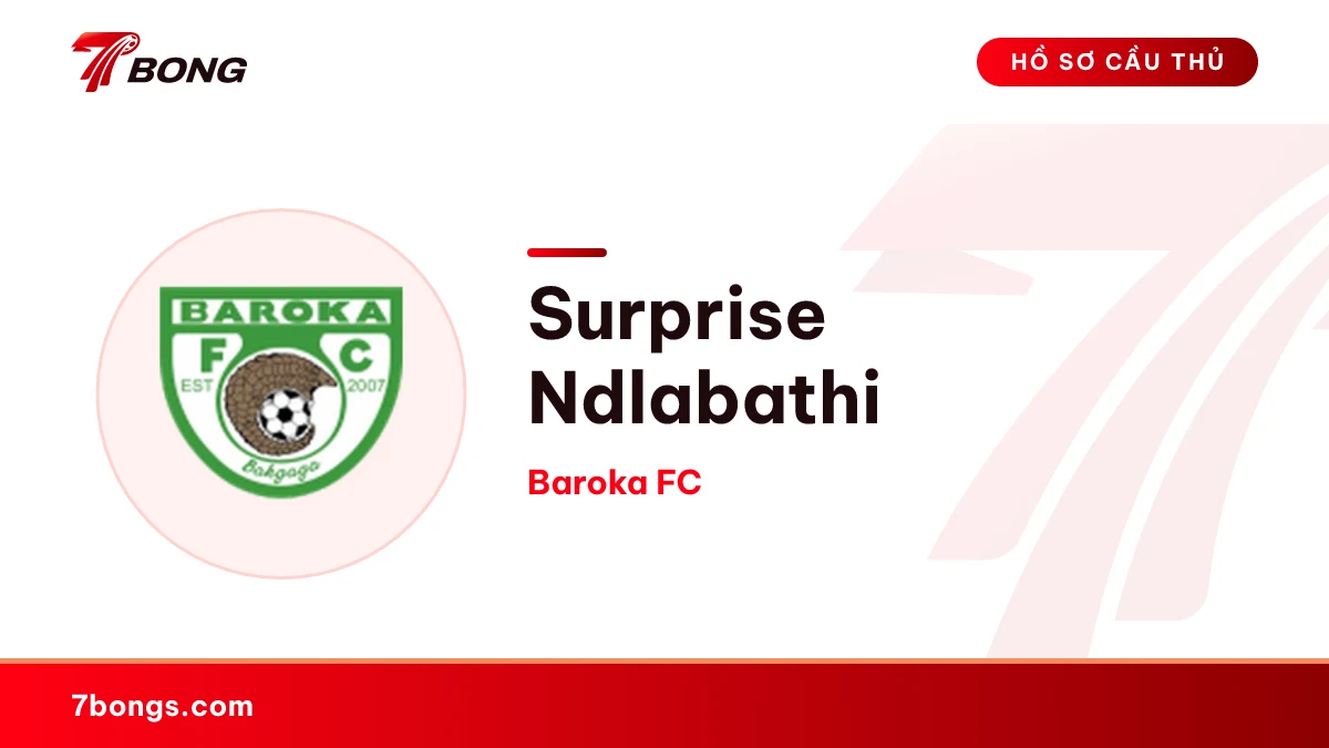 Surprise Ndlabathi — Baroka FC