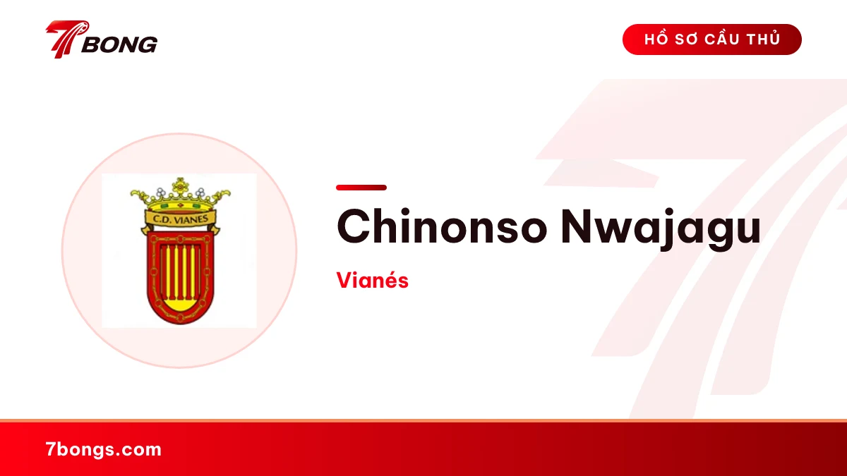 Chinonso Nwajagu — Vianés