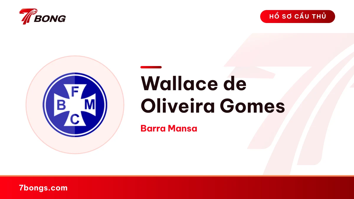Wallace de Oliveira Gomes — Barra Mansa