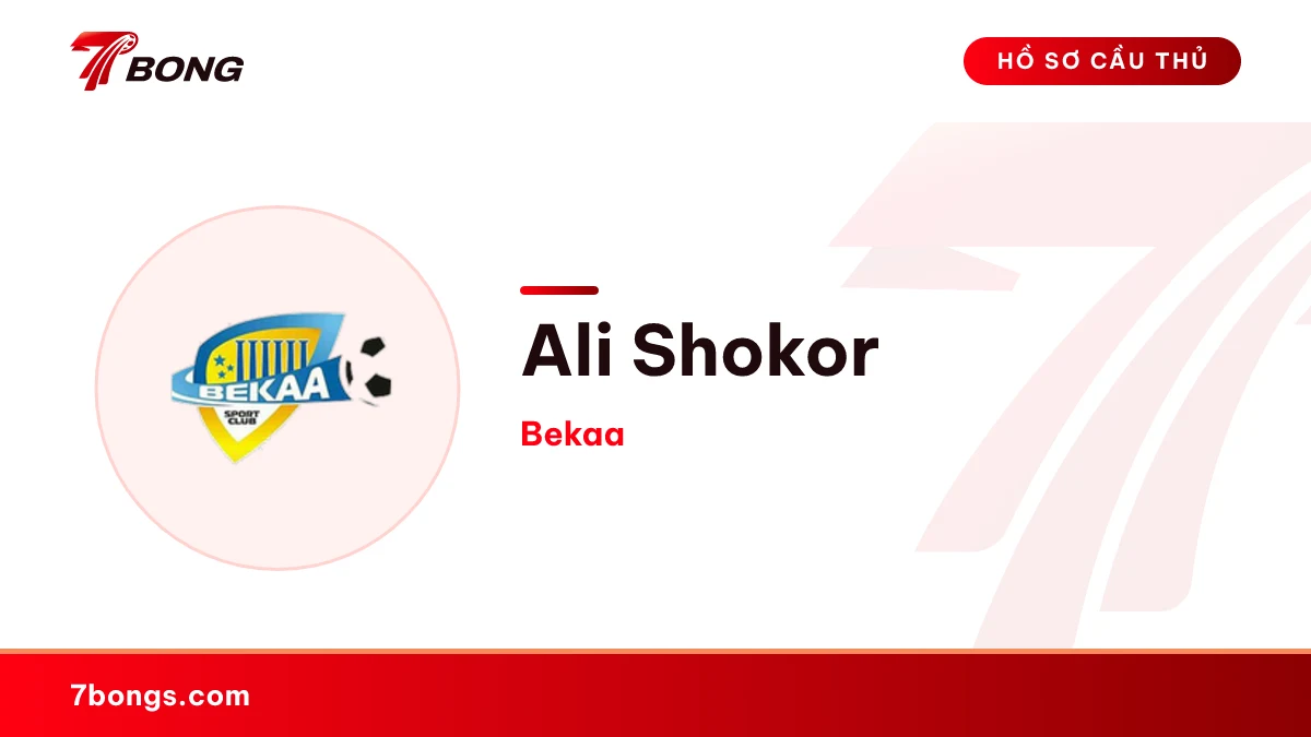 Ali Shokor — Bekaa