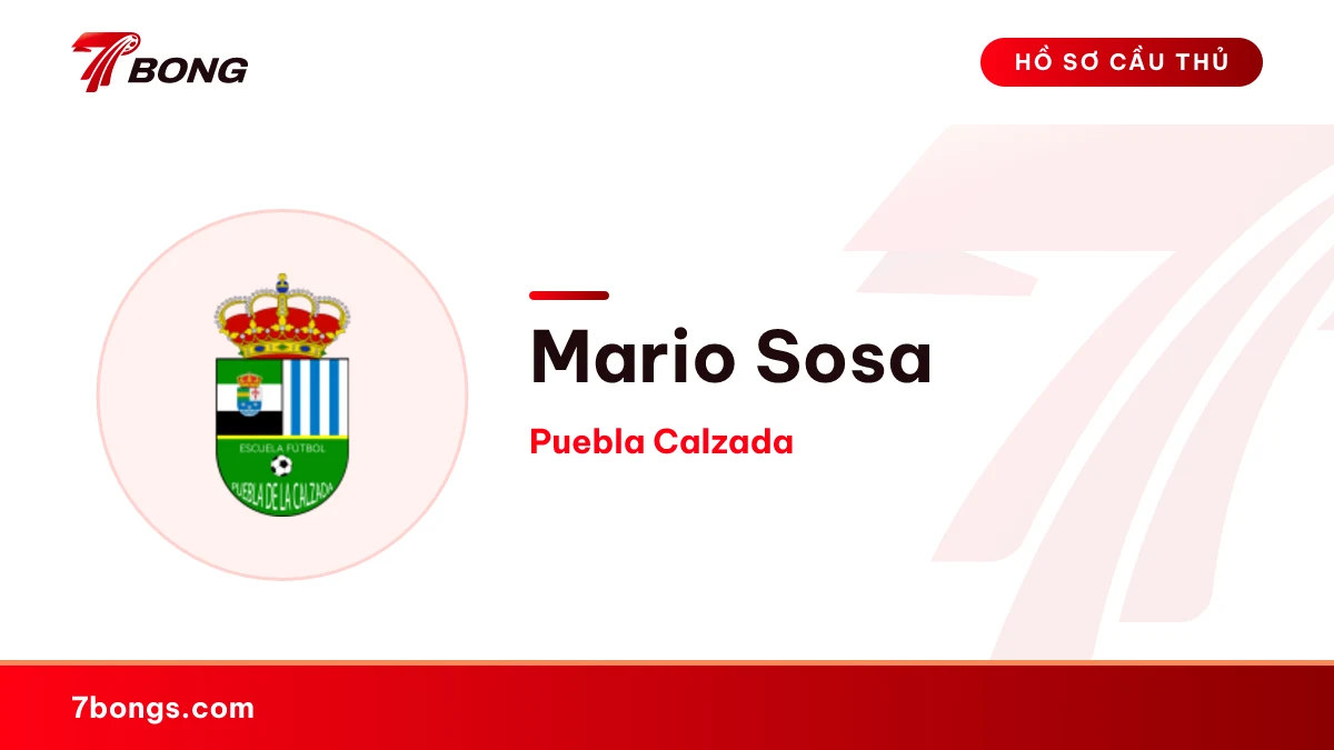Mario Sosa — Puebla Calzada