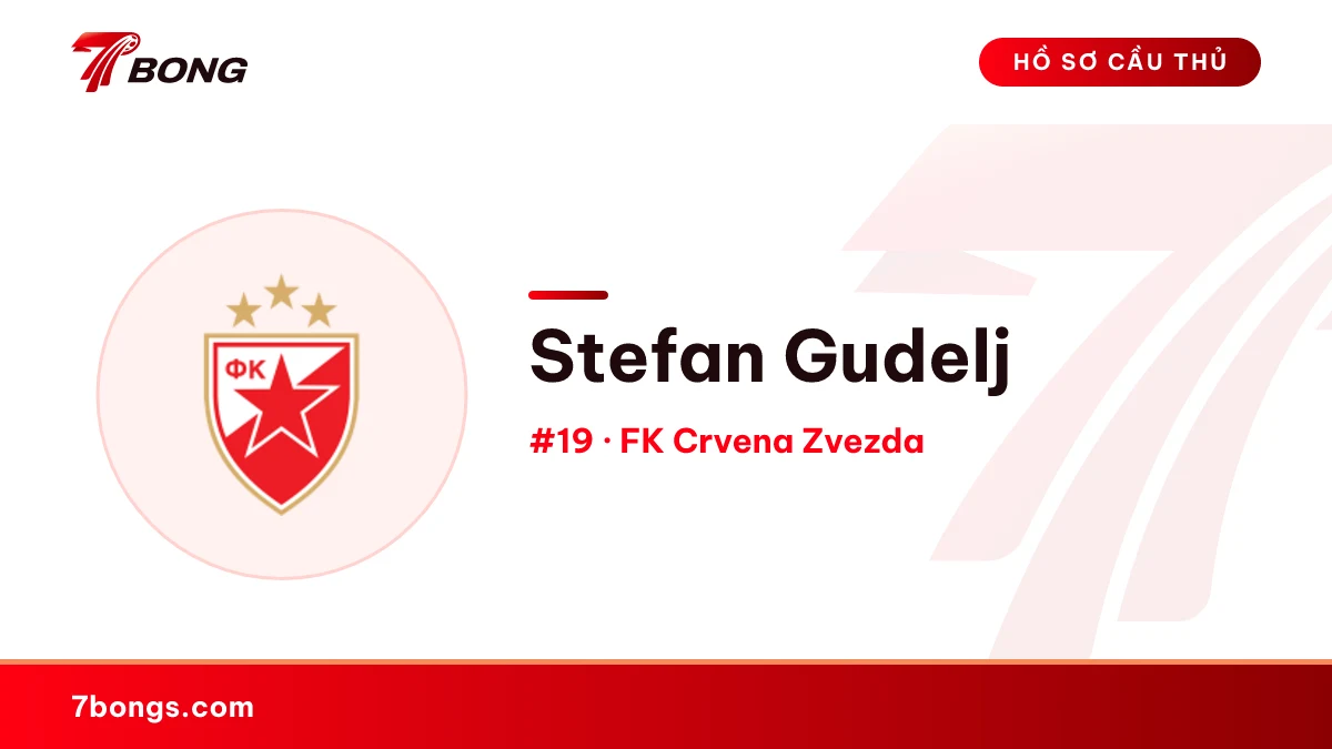 Stefan Gudelj — FK Crvena Zvezda