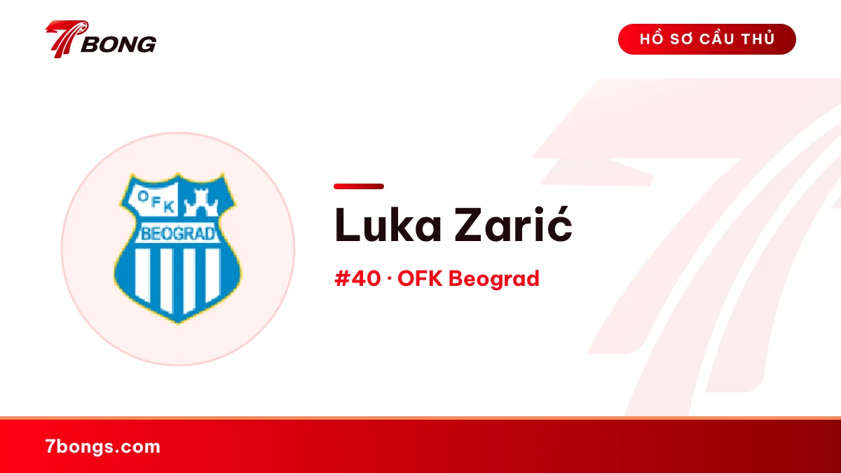 Luka Zarić — OFK Beograd