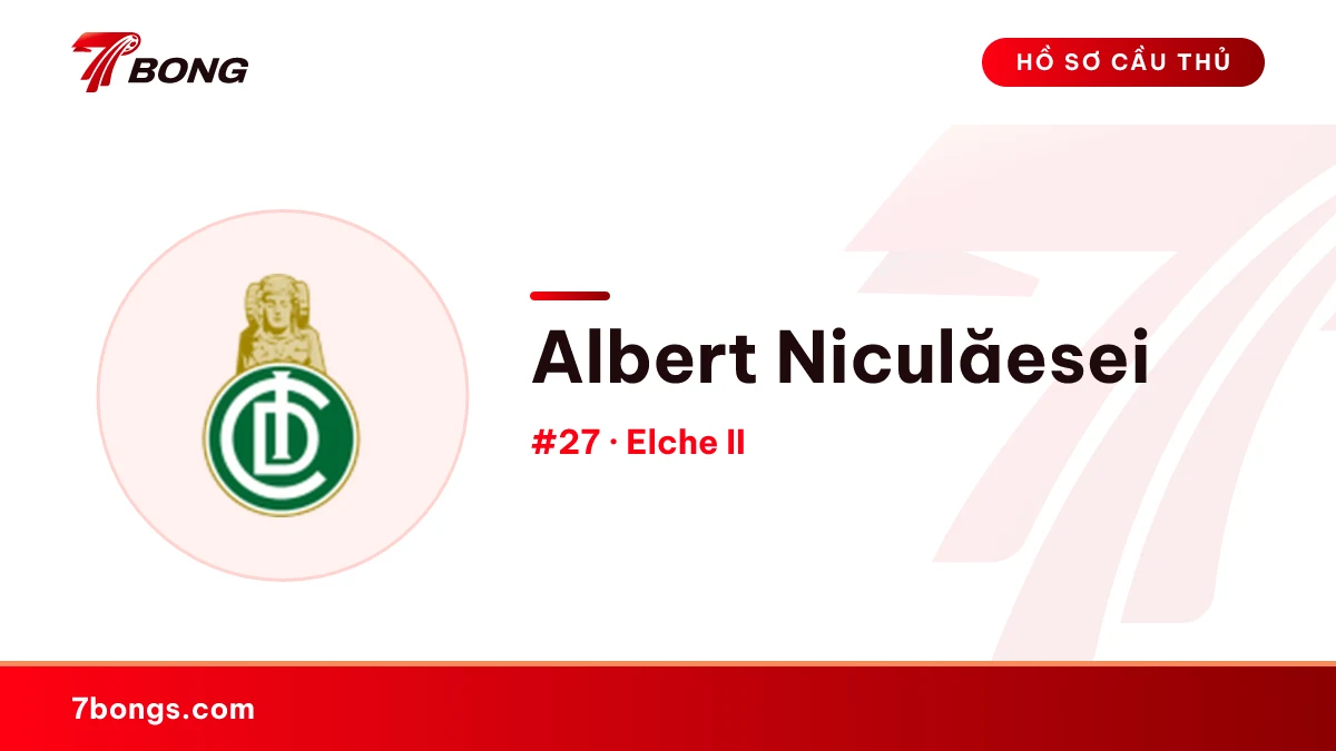 Albert Niculăesei — Elche II