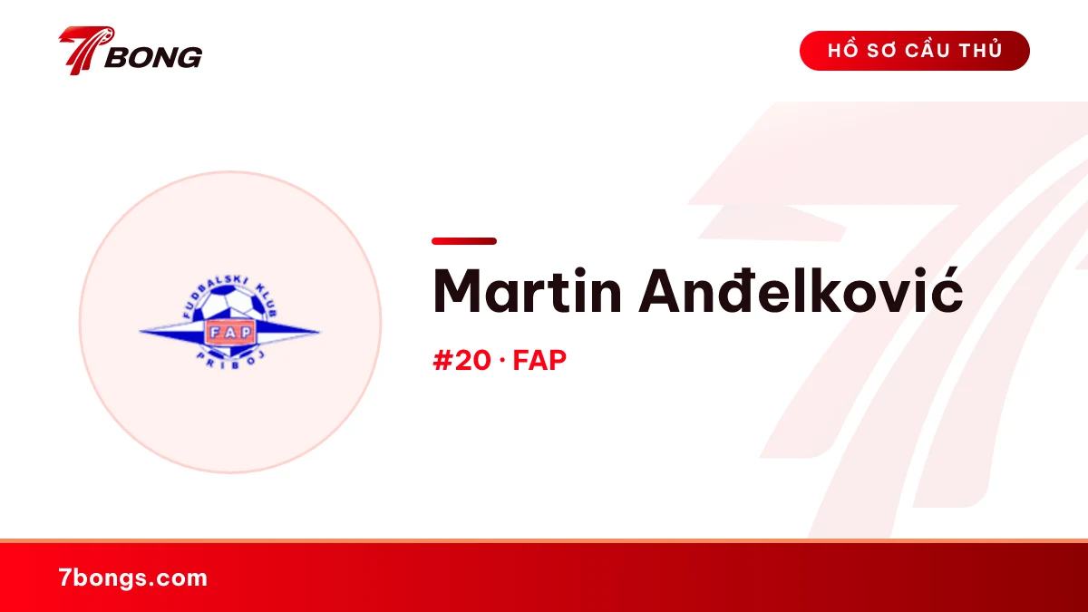 Martin Anđelković — FAP