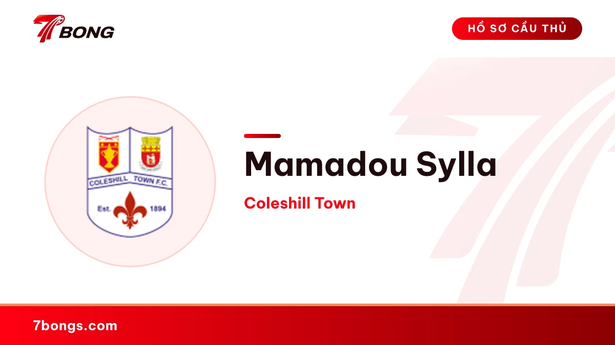 Mamadou Sylla — Coleshill Town