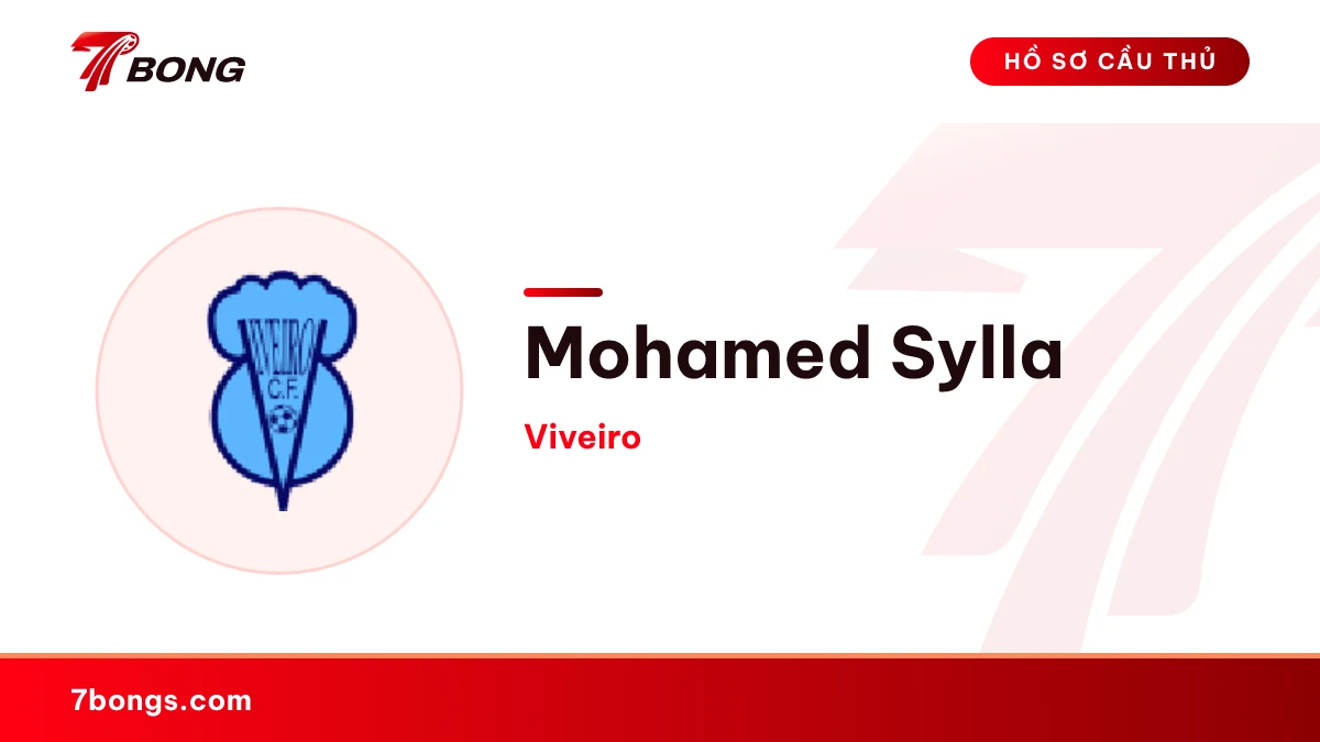 Mohamed Sylla — Viveiro
