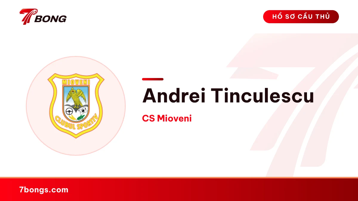 Andrei Tinculescu — CS Mioveni