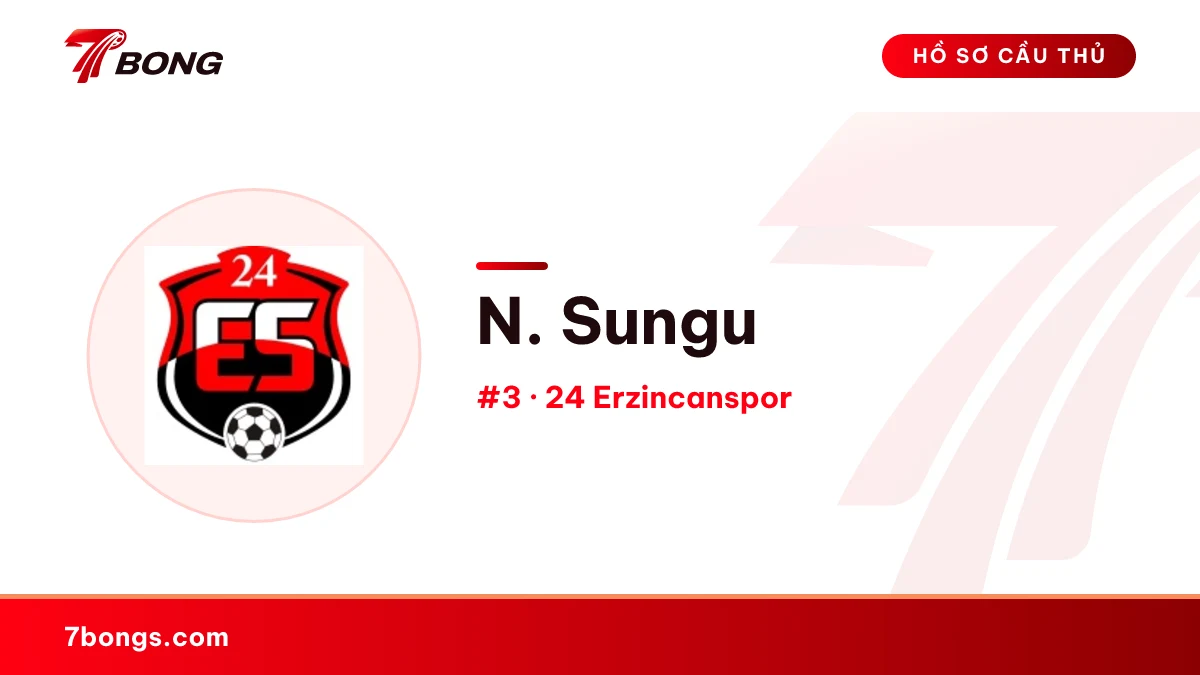 N. Sungu — 24 Erzincanspor