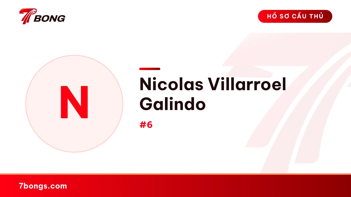 Nicolas Villarroel Galindo