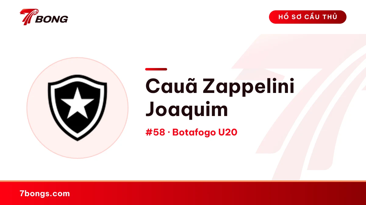 Cauã Zappelini Joaquim — Botafogo U20