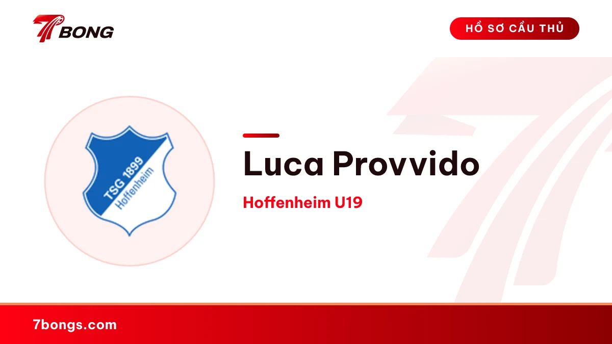Luca Provvido — Hoffenheim U19