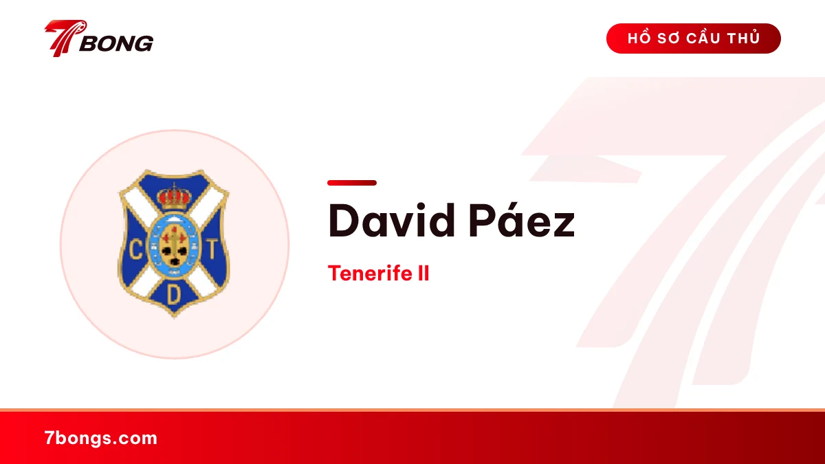 David Páez — Tenerife II