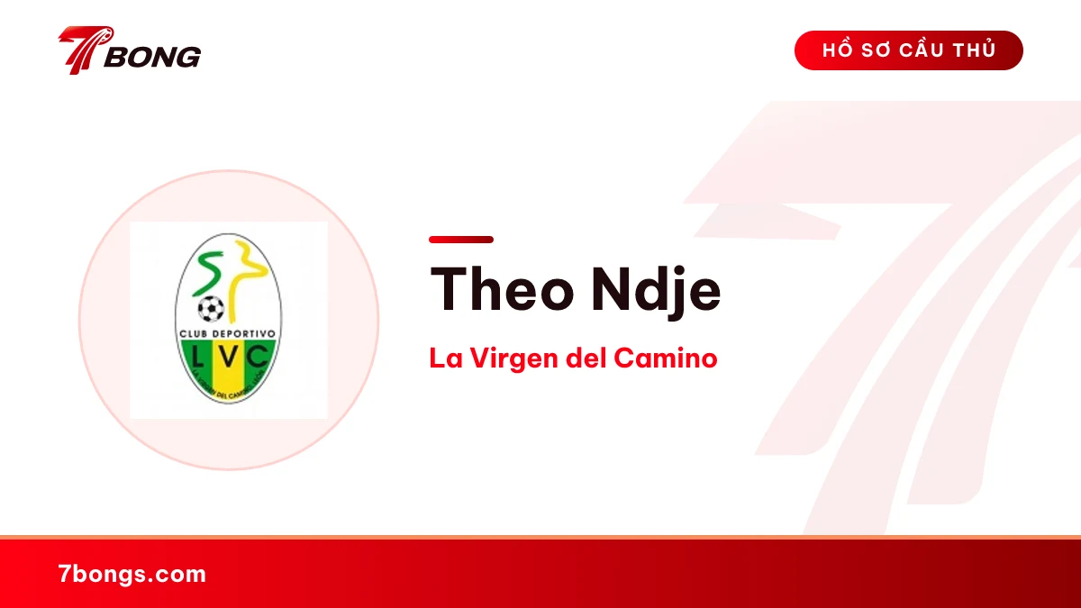 Theo Ndje — La Virgen del Camino