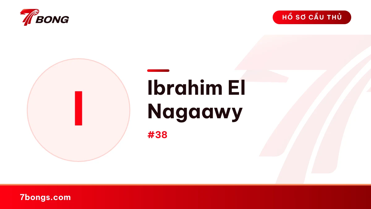 Ibrahim El Nagaawy