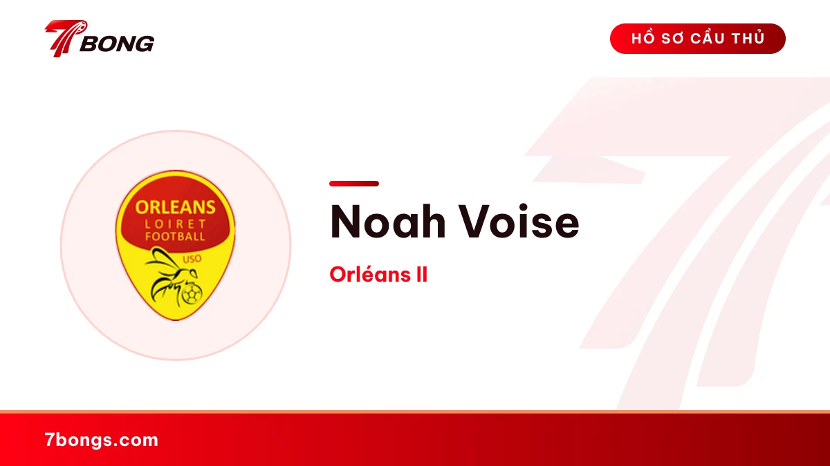 Noah Voise — Orléans II