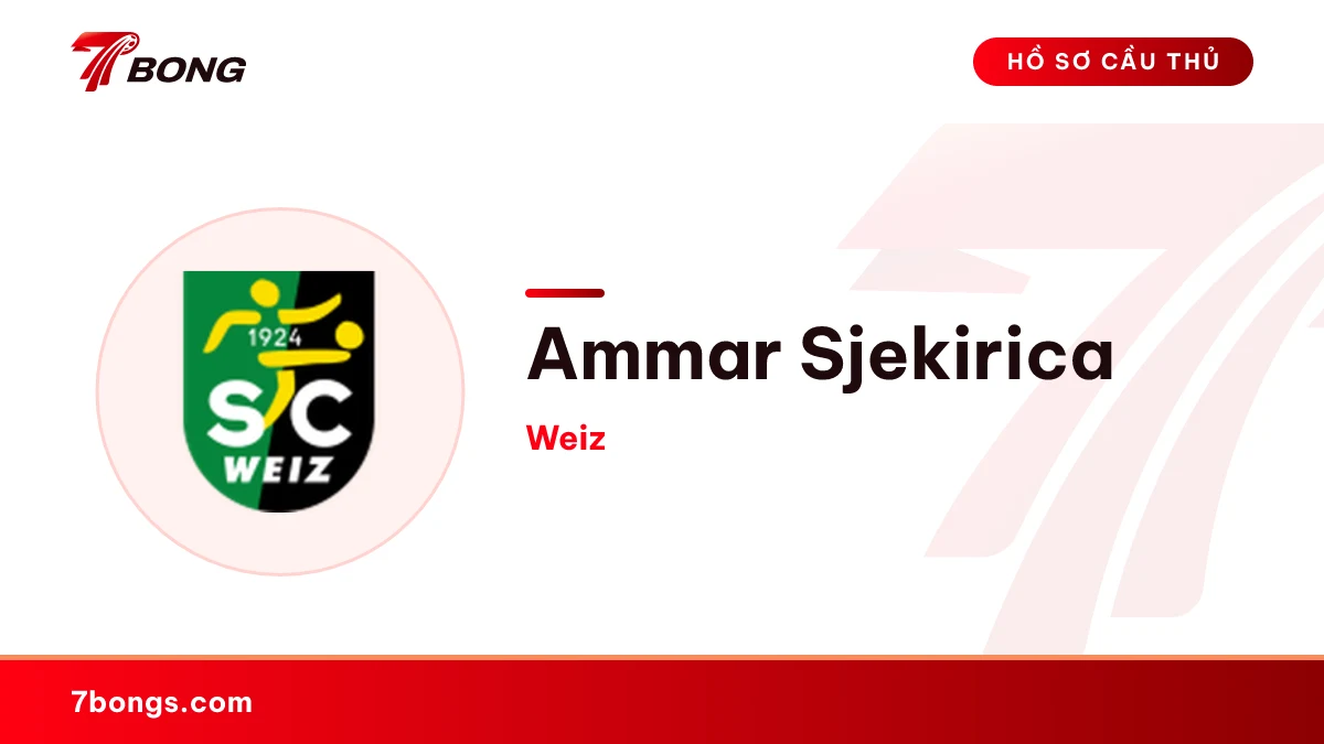 Ammar Sjekirica — Weiz