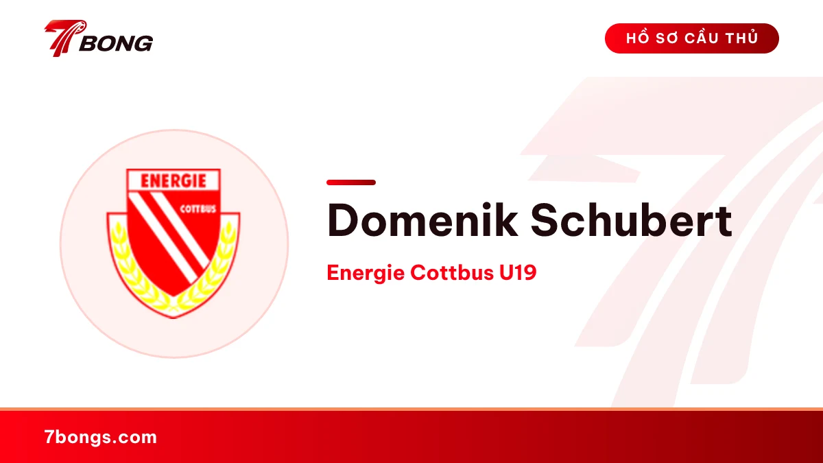 Domenik Schubert — Energie Cottbus U19