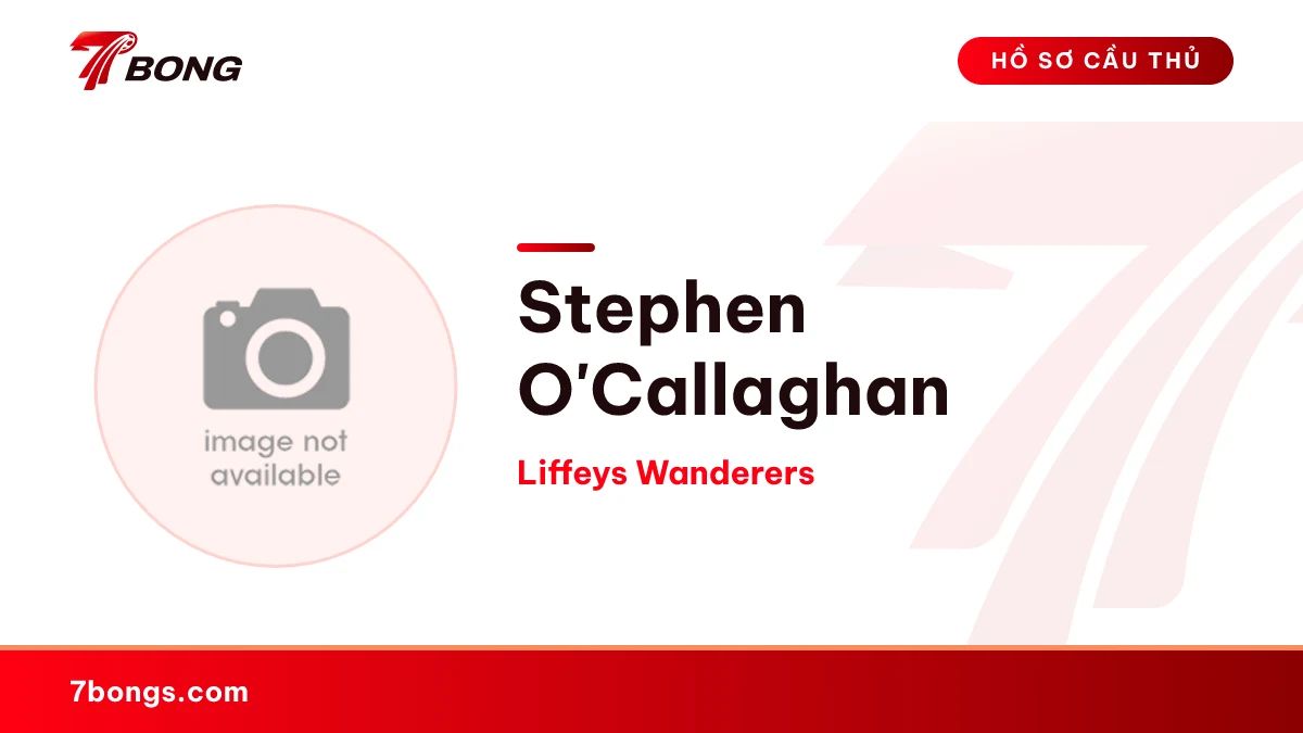 Stephen O'Callaghan — Liffeys Wanderers