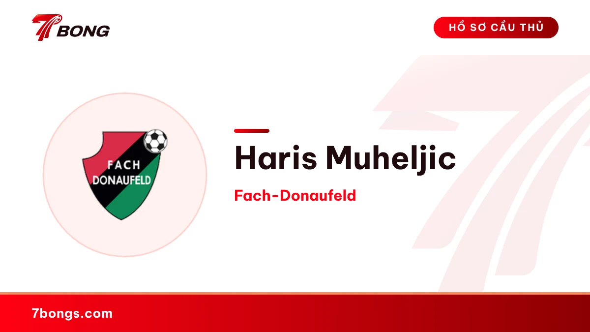 Haris Muheljic — Fach-Donaufeld
