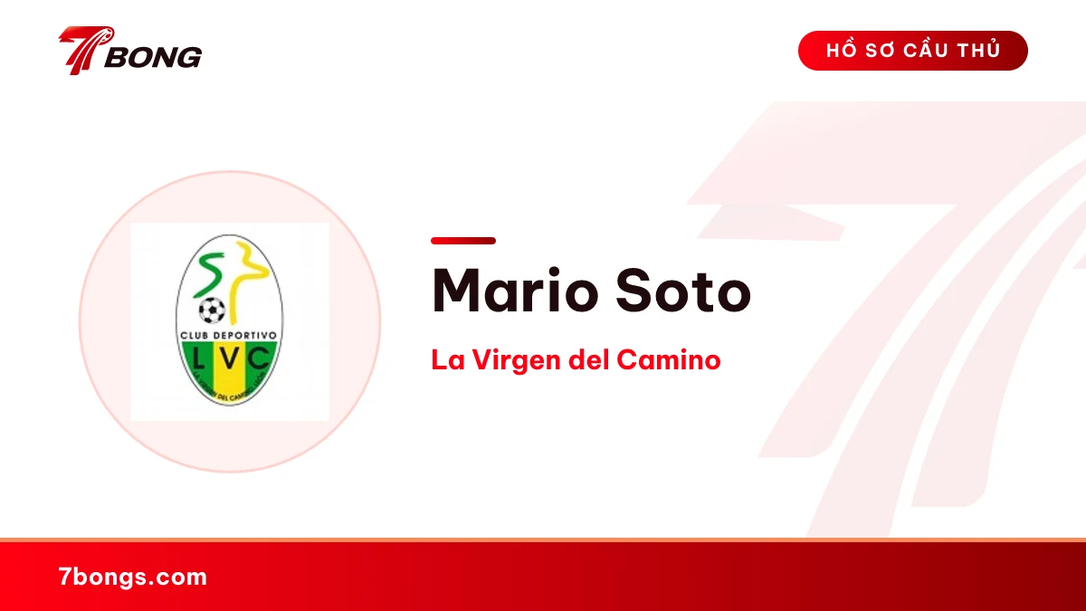 Mario Soto — La Virgen del Camino
