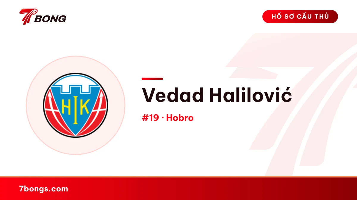 Vedad Halilović — Hobro