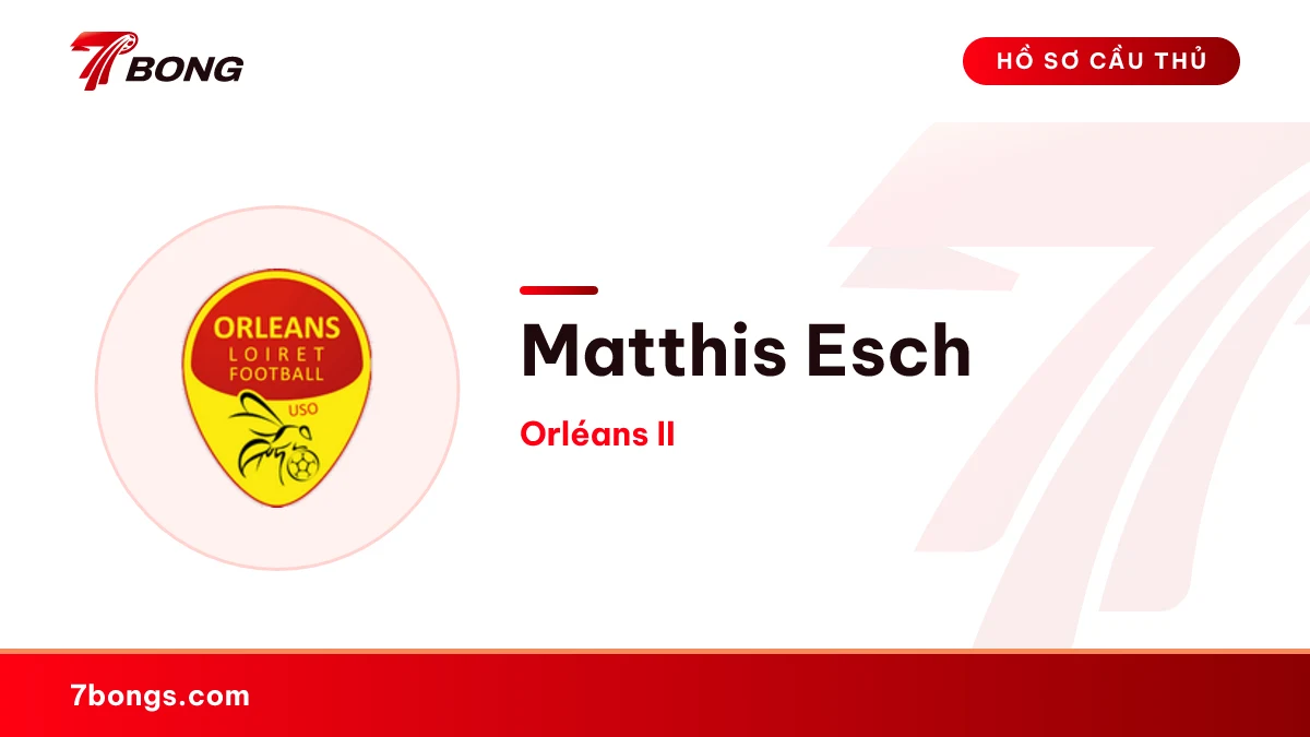 Matthis Esch — Orléans II