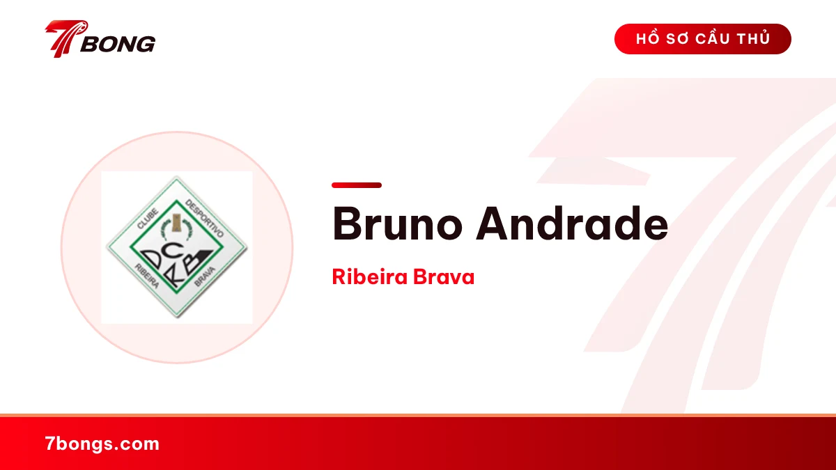 Bruno Andrade — Ribeira Brava