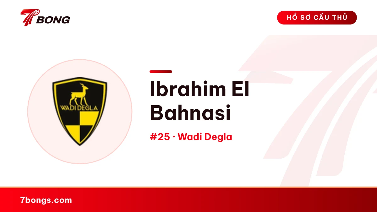 Ibrahim El Bahnasi — Wadi Degla