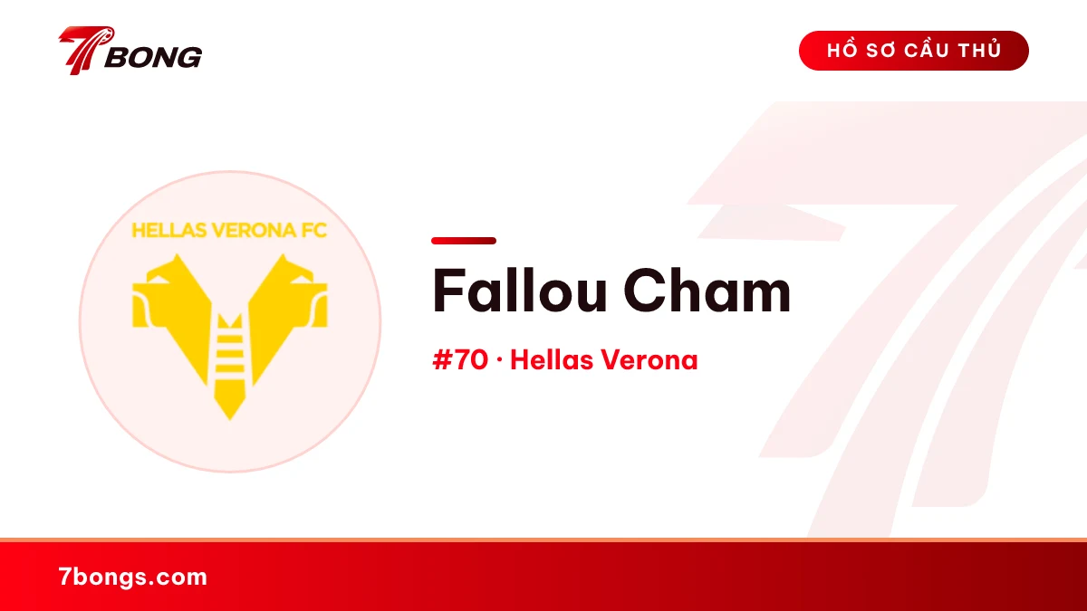 Fallou Cham — Hellas Verona