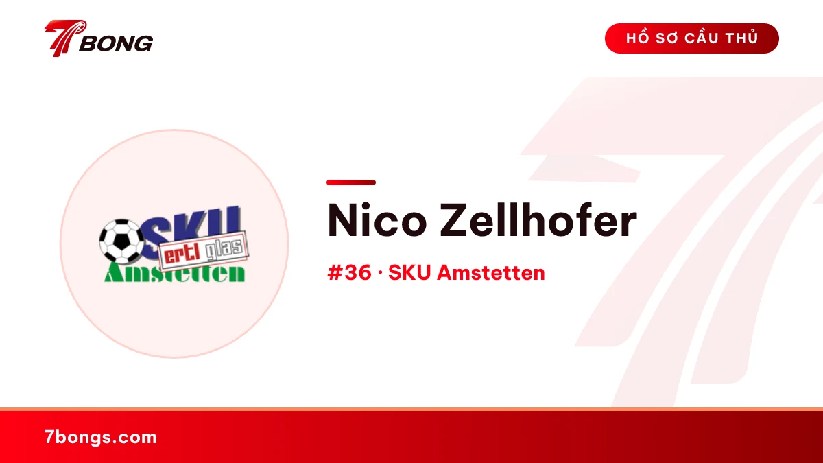 Nico Zellhofer — SKU Amstetten