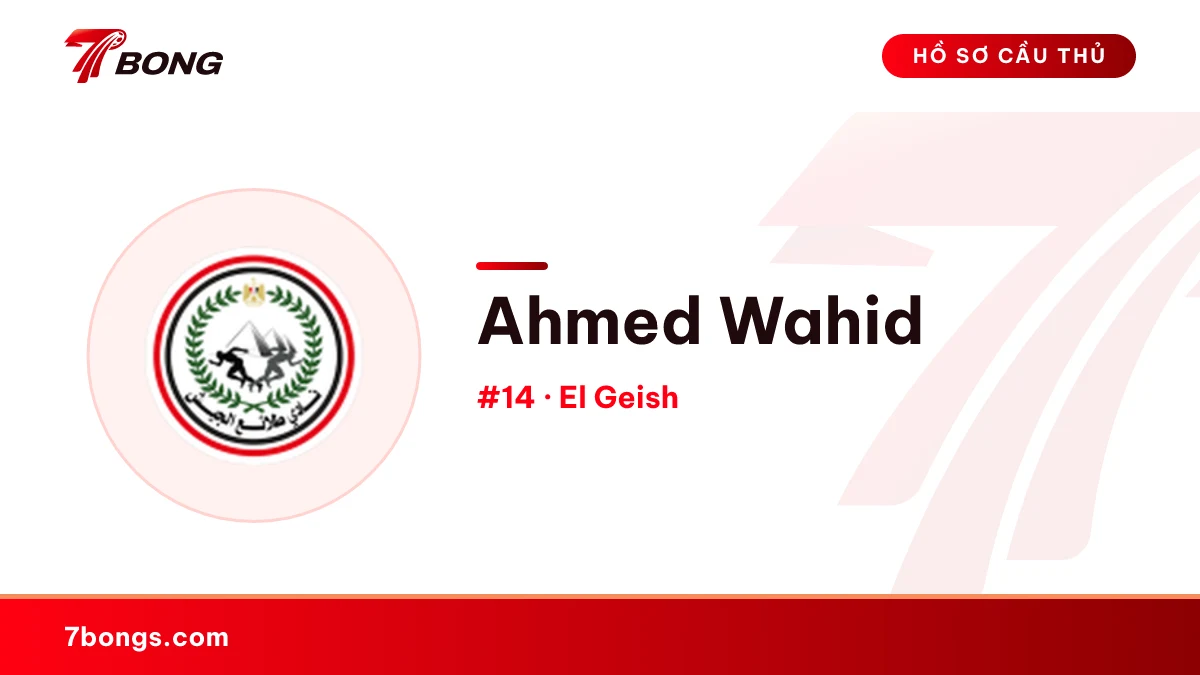 Ahmed Wahid — El Geish