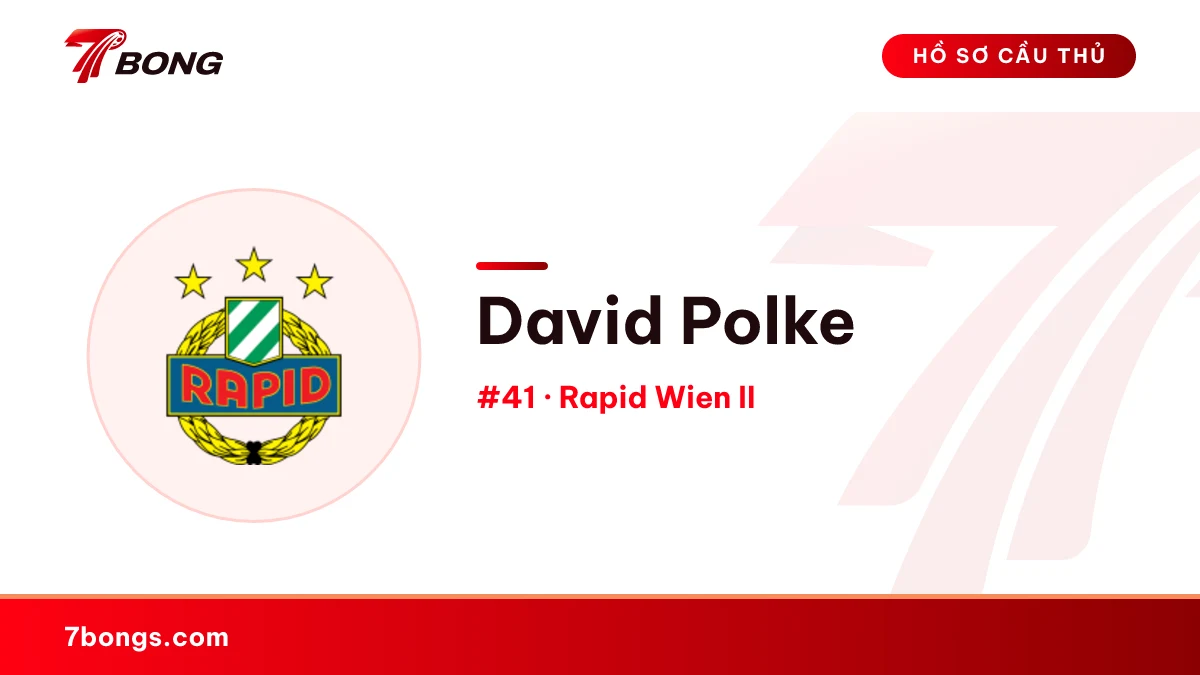 David Polke — Rapid Wien II