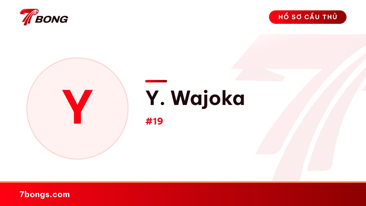Y. Wajoka