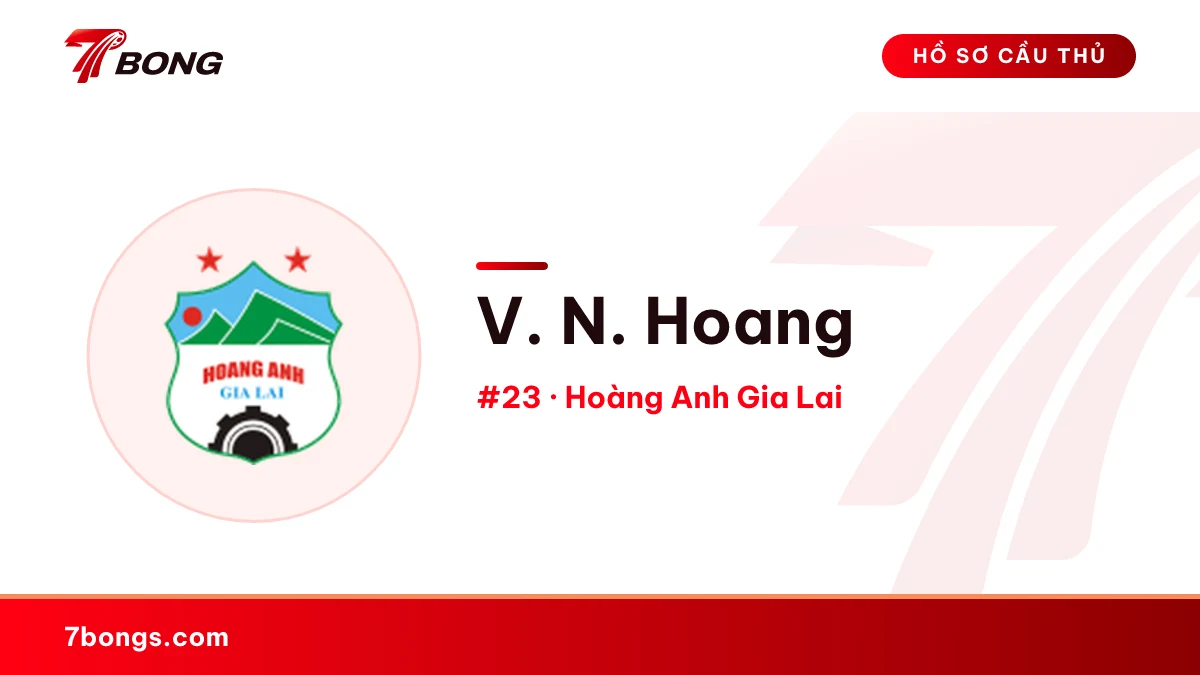V. N. Hoang — Hoàng Anh Gia Lai