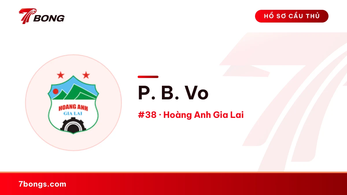 P. B. Vo — Hoàng Anh Gia Lai