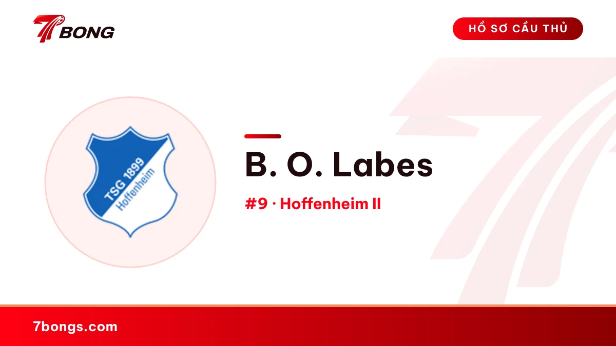 B. O. Labes — Hoffenheim II