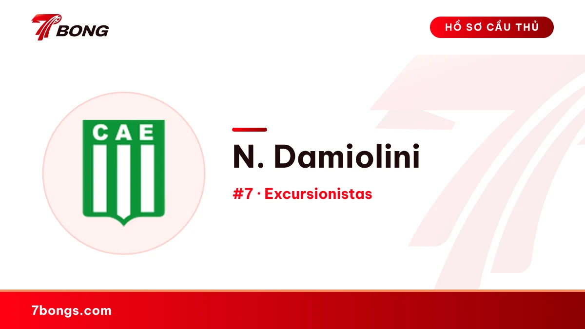 N. Damiolini — Excursionistas