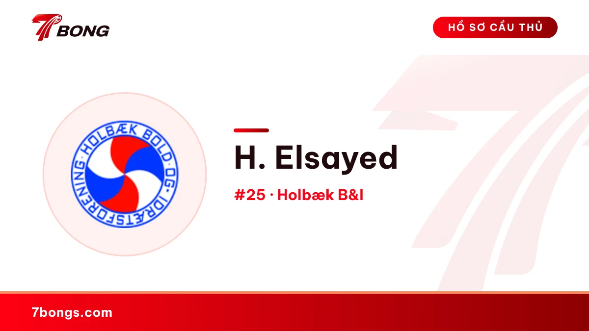 H. Elsayed — Holbæk B&I