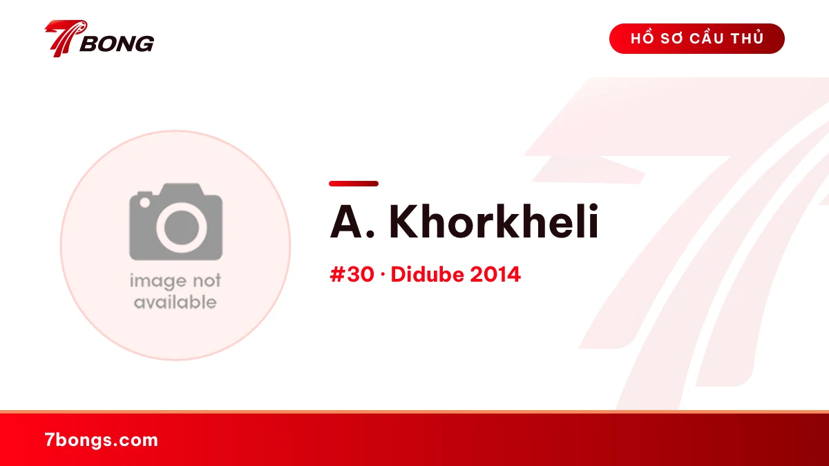 A. Khorkheli — Didube 2014