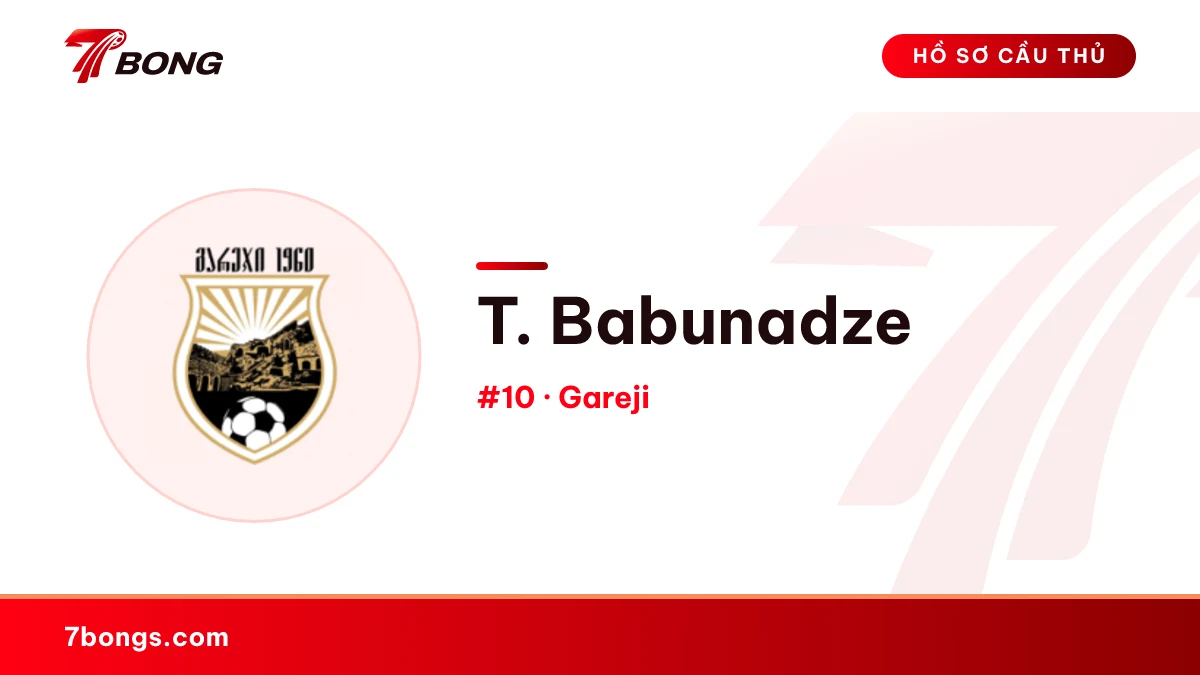T. Babunadze — Gareji