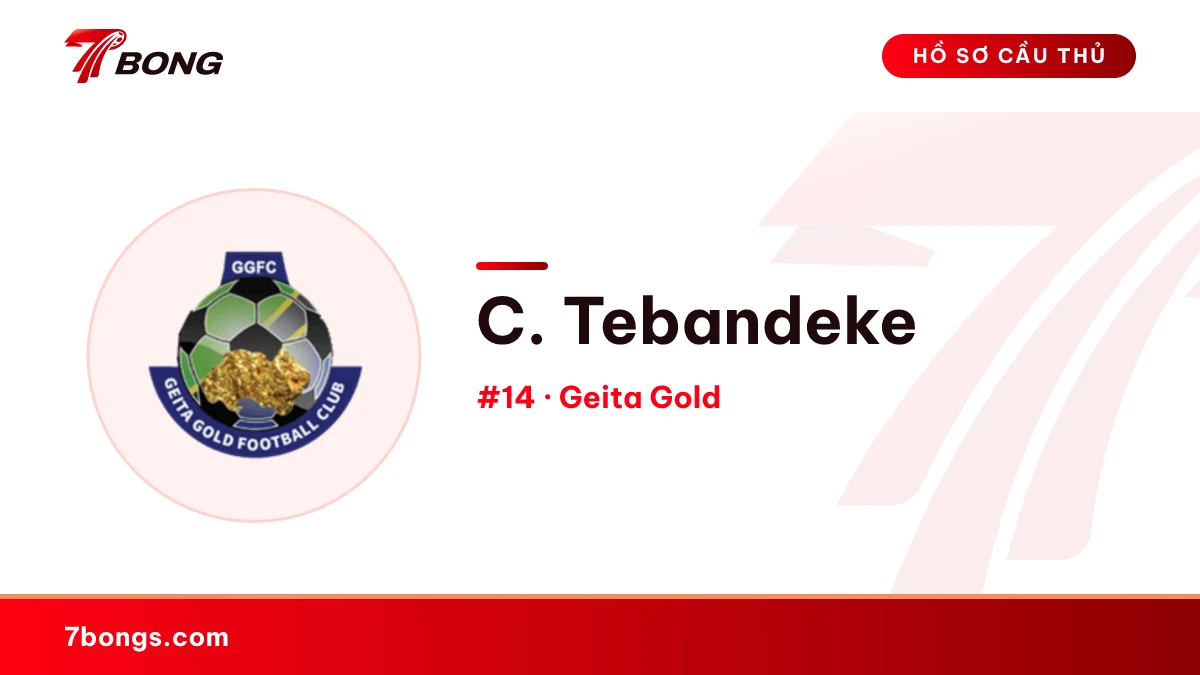 C. Tebandeke — Geita Gold