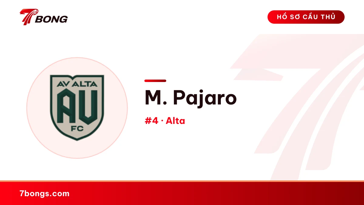 M. Pajaro — Alta